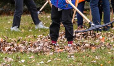 В Гродненской области этим летом было трудоустроено более пяти тысяч подростков 
